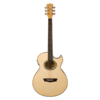 Washburn EA20 Flame Maple Guitar