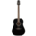 GD30-BLK Dreadnought Black Gloss