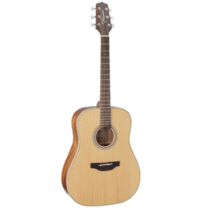 Takamine GD20NS