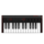 Keys 2 Mini Keyboard Controller
