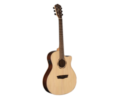 Washburn O20SCE Woodline 20 Series Acoustic-Electric Guitar