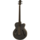 FEB F2M/ FL STBK Fretless Black  W/Bag