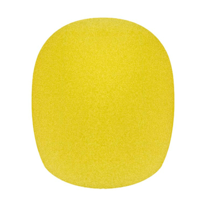 Boston Windshield WS-10-YE