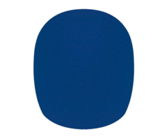 Boston Windshields WS-10-BU 5P