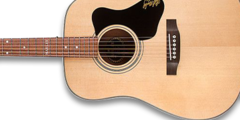 Acoustic  Guitars