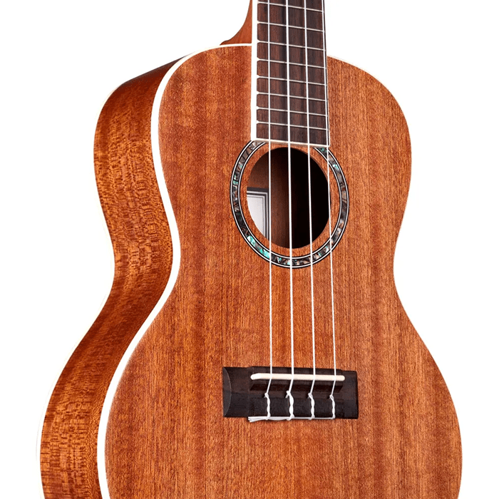 Cordoba Concert Size Mahogany Top / Back / Sides, Abalone Rosette