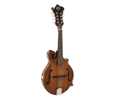 Barnes & Mullins Salvino F-Style Mandolin