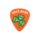 Ireland Shamrock Plastic Plectrum Green On Orange Medium Gauge