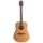 S-3 Acoustic Guitar