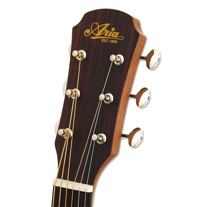 Aria 101DP MUBR Acoustic Delta Player Muddy Brown
