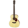 101MTN Acoustic Guitar Matte Natural