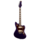 RJVT Electric Guitar Vibrant Purple