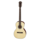 231N Parlour Acoustic Guitar Solid Spruce Top
