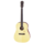 Mayfair Acoustic Guitar MF240MTN