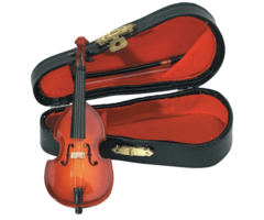 Gewa Miniature Violin