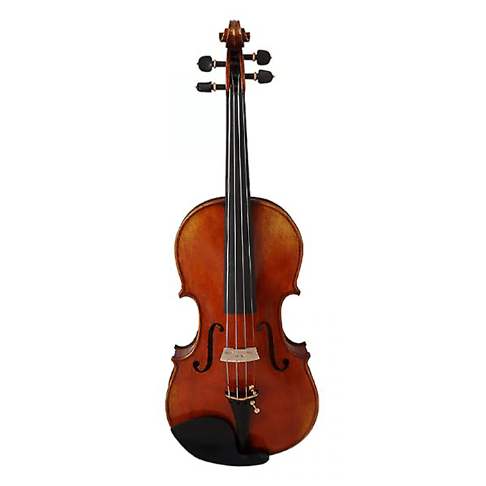 Aiersi Violin Outfit 4/4 One Piece Back Antique Cremona