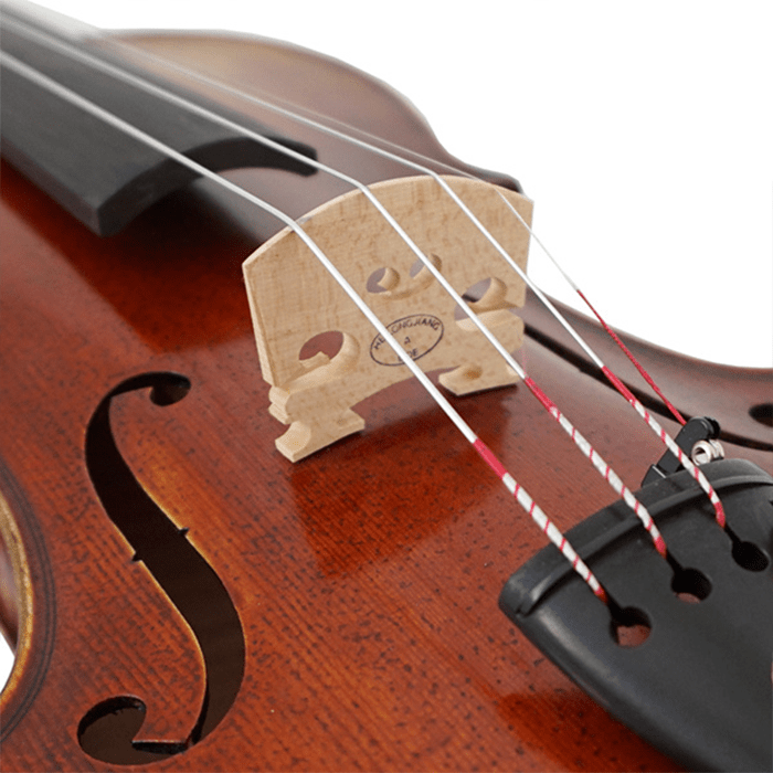 Aiersi Violin Outfit 4/4 Two Piece Back Antique Cremona