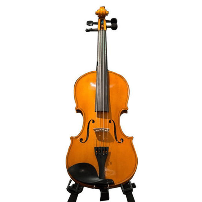 Gewa Violin Outfit Europa 11