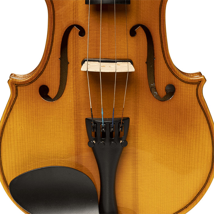 Stagg Solid Top  Electric-Acoustic Violin