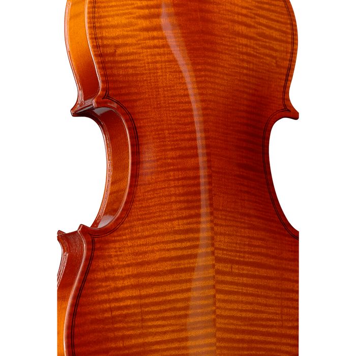 Stagg Tonewood 3/4 Violin Outfit