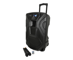 QTX Busker -15 PA  with VHF Mics & Media Player