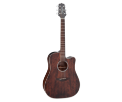 Takamine GD21CE SM
