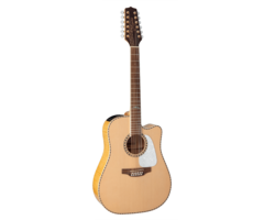 Takamine GD74CE-12U NAT