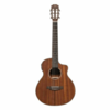 James Neligan Mini OM E/A Classic Guitar w/ Sapelli Top