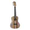 Adam Black Concert Ukulele Rainbow