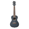 Adam Black Concert Ukulele Sbl