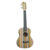Adam Black Tenor Ukulele Rainbow