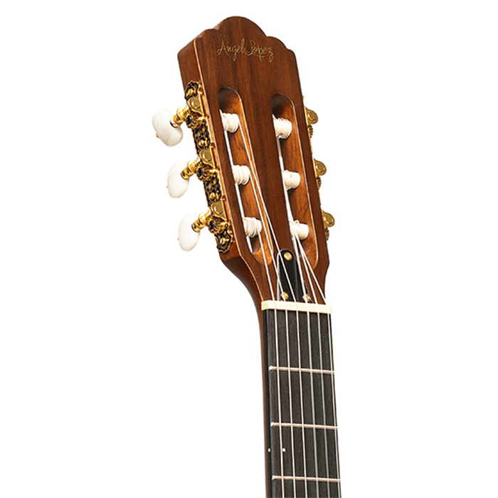 EC3000 MAHO N Solid Body El Classic Gt Maho
