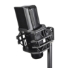 Citronic CM25 Studio Condenser Microphone