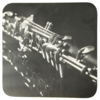 Mugmats Clarinet Square