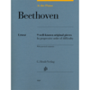 At The Piano Beethoven