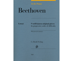 At The Piano Beethoven