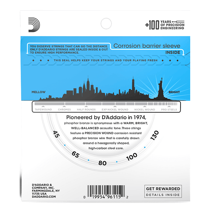 D'Addario Set Acoustic Bass PB 45-100 5 Strings