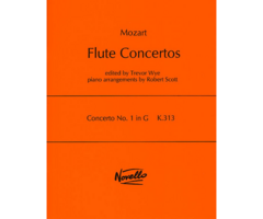 Concerto No.1 In G K.313