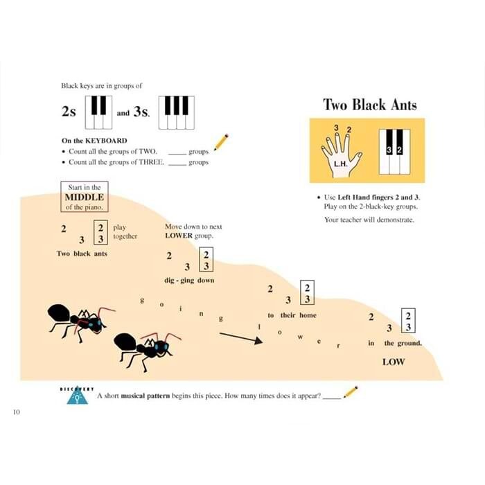 Piano Adventures: Lesson And Theory Book - Primer Level (Book Only)