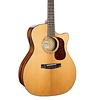 Cort Gold A6 W/ Case Natural Electric Acoustic Guitar