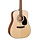 AD810 Open Pore Acoustic Guitar