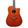 S6-DZB  Sundown Electro-Acoustic Western Guitar - Dark Zebrano