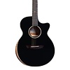 Faith ECLIPSE Series Venus Cutaway Electro Inc Case