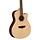 O20SCE Woodline 20 Series Acoustic-Electric Guitar