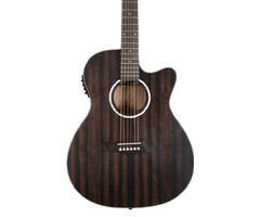 Washburn EBONY ACE Deep Forest Acoustic-Electric Guitar