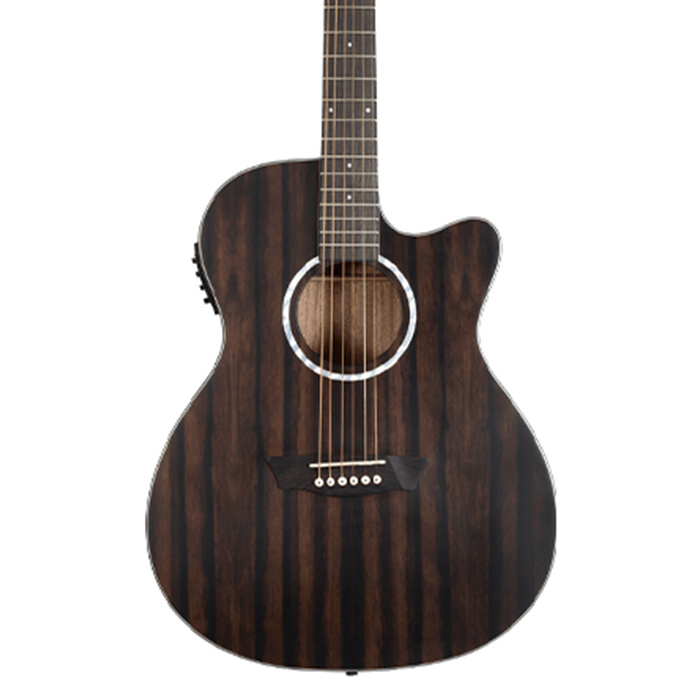 Washburn EBONY ACE Deep Forest Acoustic-Electric Guitar