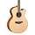 CPX700 NT 12-String Electro Acoustic Guitar