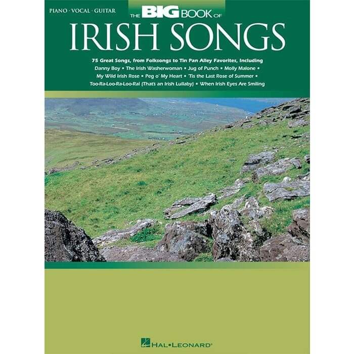 The Big Book Of Irish Songs