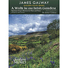 A Walk In An Irish Garden
