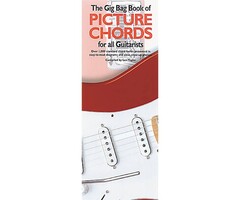 Gig Bag Picture Chords Guitar Book